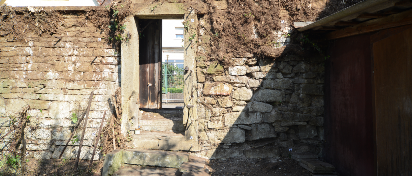 Eppingen, Stadtmauer